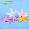 Miniadornos planos de resina para micropaisajes con vistas al mar, accesorios de concha de estrella de mar de cristal, accesorios para fundas de teléfono móvil