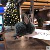 Faixa de cabelo de coelho fofo de celebridade da Internet estilo coreano Faixa de cabelo Grampo de cabelo Acessórios para cabelo Faixa de cabeça infantil Faixa de borracha Pelúcia Tridimensional