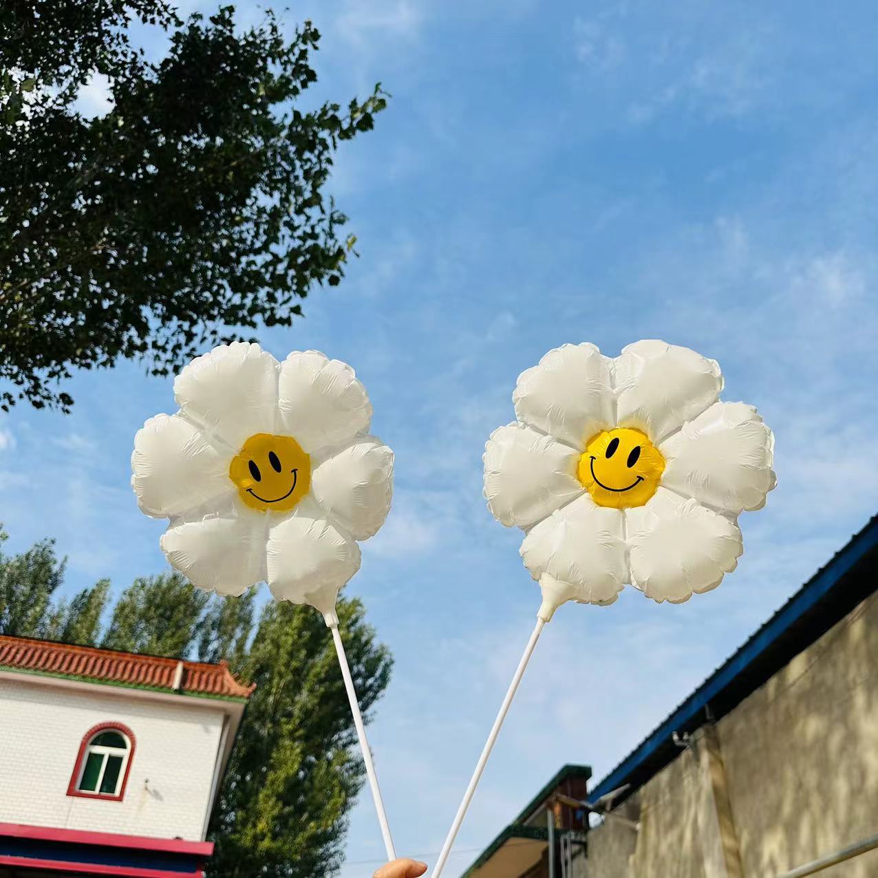 中号雏菊