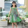 Vestido Sem Manga Infantil, Vestido Colete com Saia Bolha para Menina, Vestido Princesa Fofo para Menininha, Vestido Colete Floral de Verão
