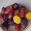 Batata-doce Simulada, Batata Roxa, Tomate, Berinjela, Modelo de Repolho, Comida Simulada, Pimenta Falsa e Rabanete Adereços de Fotografia