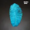 El Fabricante Suministra Plumas de Avestruz Listas para Usar de 25-30 cm para Bodas y Actuaciones, Arreglos de Plumas de Avestruz y Decoraciones de Plumas