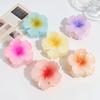 Pinza de Garra de Flor Degradada Caliente Transfronteriza Parte Trasera de la Cabeza Dulce Moda Flor de Cerezo Pinza de Tiburón Fuera Todo Combinable Accesorios para el Cabello Simples
