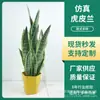 Plantas Verdes Escandinavas Simuladas, Plantas en Maceta Orquídea Tigre de Phnom Penh, Paisajismo de Interiores, Accesorios de Flores Artificiales, Plantas Verdes Artificiales, Adornos de Pie