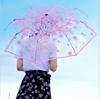 Guarda-chuva Automático Margarida Pequena Guarda-chuva Transparente Guarda-chuva Casual de PVC Estilo Japonês Deusa Guarda-chuva Dobrável para Estudante Pode Adicionar Logo