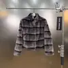 Otoño e Invierno Nuevo Estilo Lujo Ligero Ecológico Piel Sintética de Chinchilla Cuello Alto Manga Larga Estilo Puro Deseo de Gama Alta Abrigo Transfronterizo