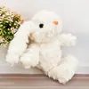 Celebridade da Internet Coelho de Orelha Longa Coelho Bonnie Pingente de Coelho Coelho de Pelúcia Orelha-Orelha Boneca 18cm Bolsa de Boneca Pingente Chaveiro