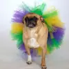 Roupas para Cães de Estimação, Saias para Gatos de Comércio Exterior, Roupas Tutu para Cães Pequenos, Acessórios para Animais de Estimação, Estilo Europeu e Americano Teddy