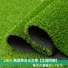 Tapete de Grama Artificial Plástico Verde Simulação de Grama Exterior Jardim de Infância Varanda Telhado Isolamento Acústico Tapete Antiderrapante