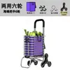 Carrito de Compras Plegable para Uso en Casa, Carrito de Mano Portátil Ligero, Carrito de Compras Pequeño Portátil Engrosado, Carrito Ahorrador de Esfuerzo para Personas Mayores
