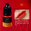 Amostra de Cor Bordado Wanjia 3ml Corante Vegetal para Sobrancelha, Olho e Lábio Não Muda de Cor Sistema de Cor Auxiliar Cor de Sobrancelha Cinza Escuro