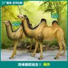 Adornos de Animales Simulados para Exteriores, Esculturas Grandes de Camello de Fibra de Vidrio para Decoración de Paisajismo de Parques y Espacios Verdes Comunitarios, Manualidades