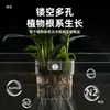 Maceta Hueca Tanque de Peces Hidropónico Cesta de Cultivo Hidropónico Taza para Cultivar Plantas Acuáticas Montada en Pared Engrosada Transparente para el Hogar Cesta Hidropónica