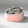 Tigela de Gato em Aço Inoxidável com Boca Inclinada para Proteger a Coluna Cervical e Prevenir Tombamento, Tigela de Comida Removível, Alimentador de Água para Cães e Gatos, Tigela para Gato