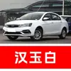 78. Plumón de pintura para retoque de coche Geely Emgrand, disponible en Gris Lluvia Ahumada, Azul Sombra Lunar, Blanco Perla, Azul Glaciar y Negro Perla, para reparación de rayones