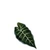 Simulación de Producto Nuevo Transfronterizo Planta Verde Hoja Única de Alocasia Hoja de Begonia Color Hoja de Taro Planta Decorativa Pared Sala de Estar Decorativa Hoja Verde