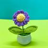 Plantas Pequeñas en Maceta Tejidas a Mano, Flores de Hilo Terminadas para el Día del Maestro, Adornos Artificiales al por Mayor, Jarrones Tejidos de Girasol