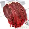 Plumas pequeñas rojas de fábrica directas, accesorios de joyería para manualidades, accesorios de ropa, diseño de escena, plumas