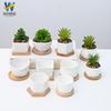 Maceteros de Cerámica para Suculentas al por Mayor Logo Impreso Decoración para el Hogar Comercio Exterior Transfronterizo Amazon Jardinería Macetas de Porcelana Blanca