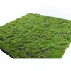Grama Artificial com Flocagem Pedra Gramado Musgo Pedra Bonsai Planta Musgo