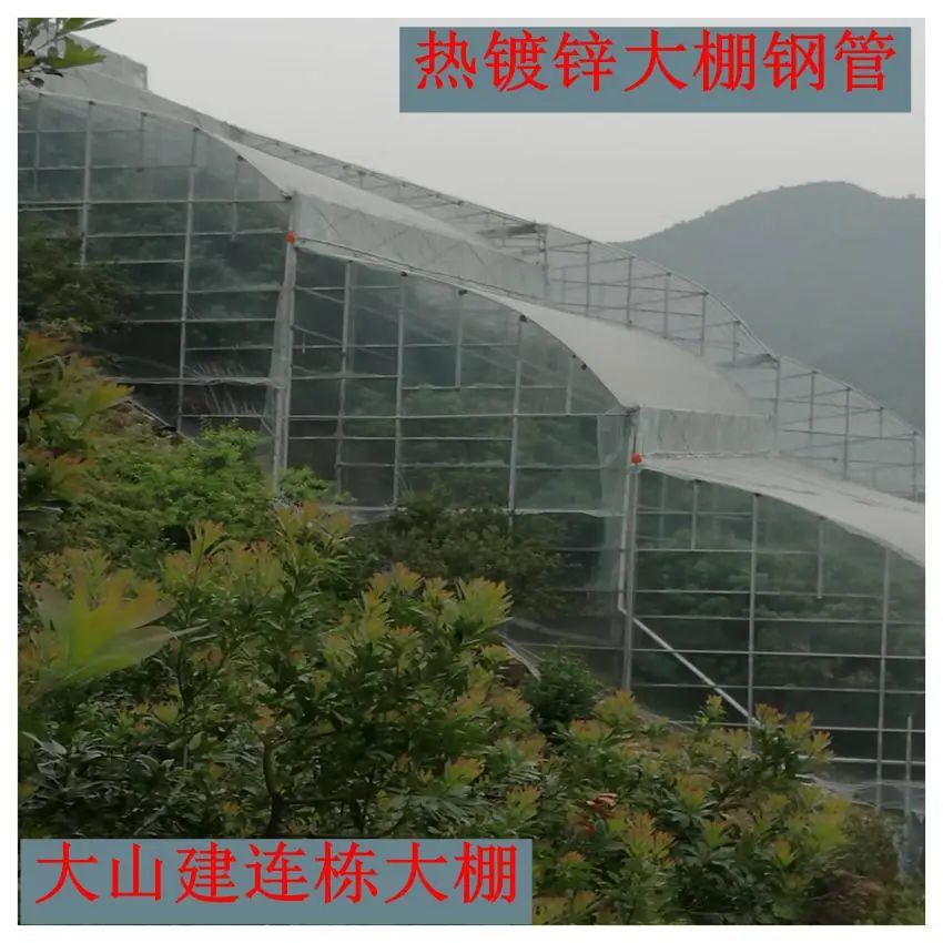 微信图片_20180915150234_副本