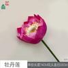 Lótus de pétalas duplas botão de flor cabo de PU feixe lótus aberto folha de lótus folha de lótus dossel de lótus conjunto simples de salão budista decoração floral flor de seda
