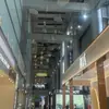 Salón de Exposiciones Araña Diseñador Rejilla Ingeniería Red de Hierro Nubes Gipsófila Nórdico Creativo Salón Restaurante Moderno Sencillo