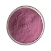 Polvo liofilizado de arándanos 200 mesh secado a baja temperatura polvo liofilizado de antocianinas de arándanos 500g/suministro directo de fábrica