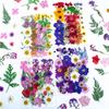 Tienda Física Transfronteriza Flor Real Venta al por Mayor Especimen de Planta Bolsa Estampada en Relieve Paquete de Material de Hoja Seca Pegatinas Hechas a Mano