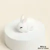  Coelho Branco de Resina Tridimensional Coelho de Jade do Festival do Meio Outono Fofo Acessórios de Joias DIY Criativos Enfeites de Mesa/Carro