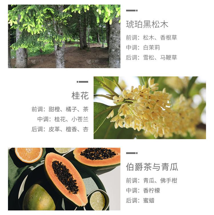 详情_10.jpg