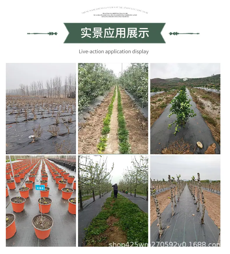 详情切片_12.jpg