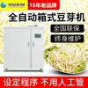 Tipo comercial máquina de brotes de frijol mungo automática inteligente multifuncional caja tipo acero inoxidable máquina grande de brotes de frijol mungo