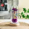 Caixa de Presente Flor Eterna com Tampa de Vidro Flor Rosa Presente para o Dia das Mães Aniversário Recém-Casados Presente de Dia dos Namorados para Namorada e Melhor Amiga