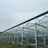 Proyecto de invernadero inteligente estilo holandés, invernadero de cultivo sin suelo totalmente de vidrio, instalaciones agrícolas modernas de alto estándar