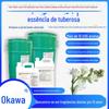 Fragrância Noturna Essência de Jade shampoo gel de banho sabão em pó tablete de detergente pastilhas de gel desinfetante para as mãos fábrica direta perfume