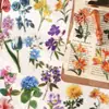 Paquete de Pegatinas Fantasma Oscuro: Serie Paleta de Colores Florales, Material de Diario Floral Transparente Decoración DIY, 6 Diseños