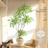 Planta Nandina Aterrizaje Planta en Maceta Interior Grande Biónica Verde Adornos Sala de Estar Lujo Ligero Flor Decorativa Árbol Falso