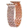 Adecuado para Correa de Apple Watch, Correa de Metal con Cinco Perlas Completamente Diamantada Iwatch11-1 Correa Representativa