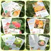 Tarjetas Personalizadas, Tarjetas Pequeñas, Postales Autoimpresas, Tarjetas Personalizadas de Postventa, Cabeceras de Tarjetas Plegables, Tarjetas de Uñas Portátiles, Papel e Impresión de Certificados