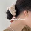 Brincos Minimalistas Trançados para Mulheres, Estilo Coreano, Fashion e Únicos Presilhas de Orelha Croissant Vazadas, Acessórios de Orelha Tendência Estilo Ins