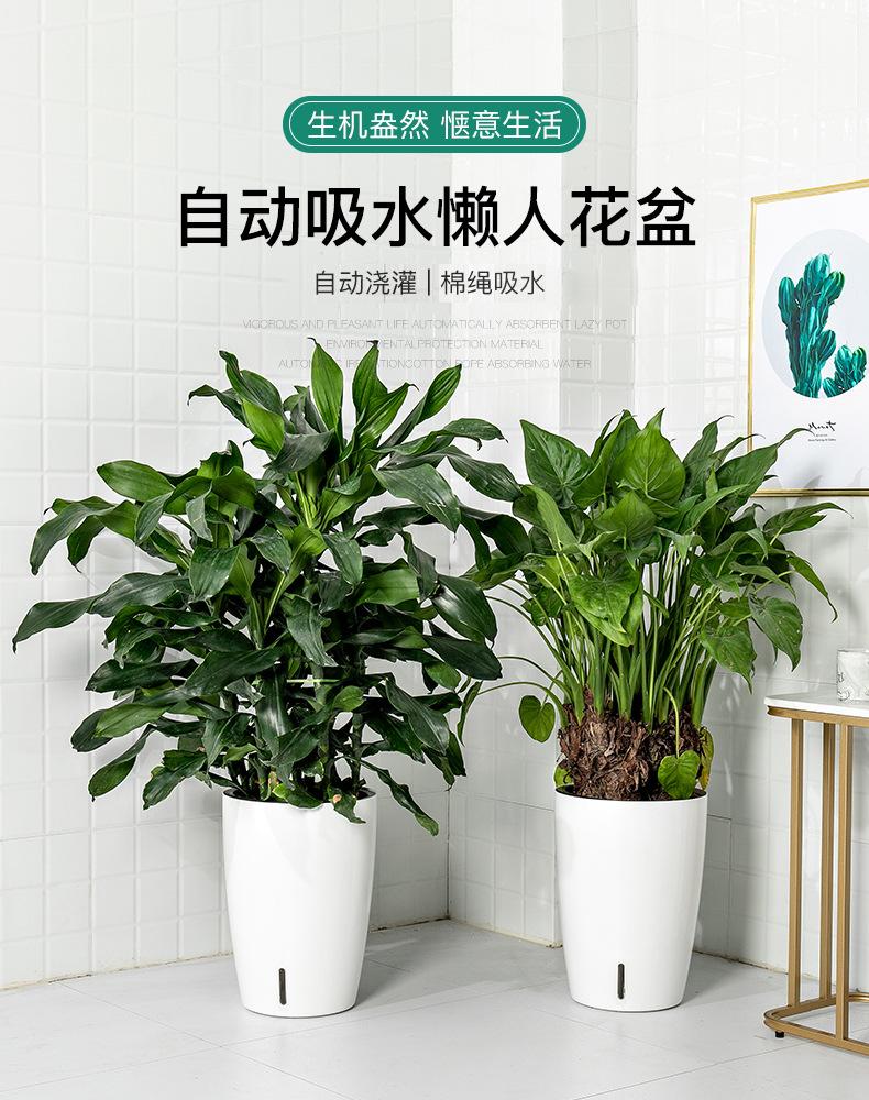 O1CN01MWZUhs1Yo8L7jYgdx_!!2206