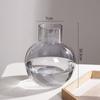 Estilo nórdico vaso de vidro criativo luz de bola transparente flores hidropônicas de luxo vaso de flores secas mesa de jantar decoração de sala de estar