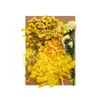 [Paquete de Materiales A5 en Relieve] Flores Secas Flor Eterna Marco de Fotos Paquete de Materiales en Relieve Material Floral DIY Vela de Aromaterapia Flores Secas