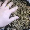 Paquete de ingredientes para sopa de abulón pequeño de siete estrellas, abulón Buddha Jiaoqiang, abulón de piedra seco, mariscos, no listo para comer