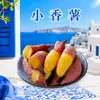 Batatas de Hainan entrega al por mayor 1/ 4.5kg Batatas rojas mini dulces frescas verduras frescas
