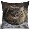 Funda de almohada de gato más vendida de TEMU transfronteriza para jugar con el teléfono móvil, funda de cojín decorativa para sofá del hogar ultra suave impresa digitalmente
