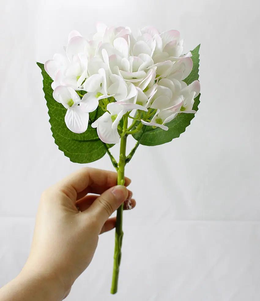 白粉