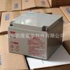 Bateria Tangqian Np24-12 Bateria Selada de Chumbo-Ácido Controlada por Válvula 12V24Ah Painel CC Bateria de Alimentação Ups
