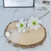 Flor Artificial Flor de Cosmos Ins Estilo Coreano Decoración del Hogar Flor de Seda Flor Falsa Mesa de Café Mesa de Comedor Arreglo Floral